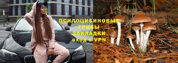 стафф Осинники