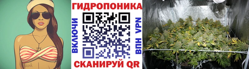 Конопля марихуана  Макаров 